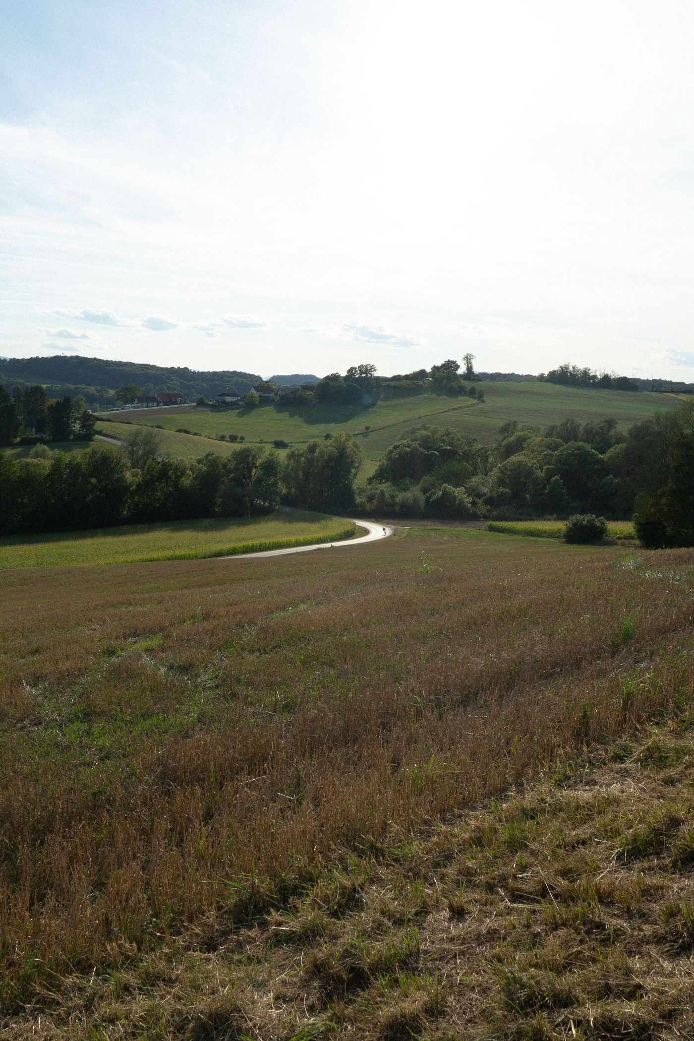 Šentiljer Weinberg-Schleife
