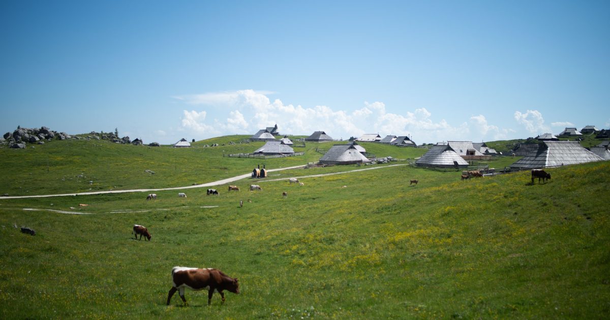 Rakove ravni - Velika planina - Mala planina – kolesarska pot