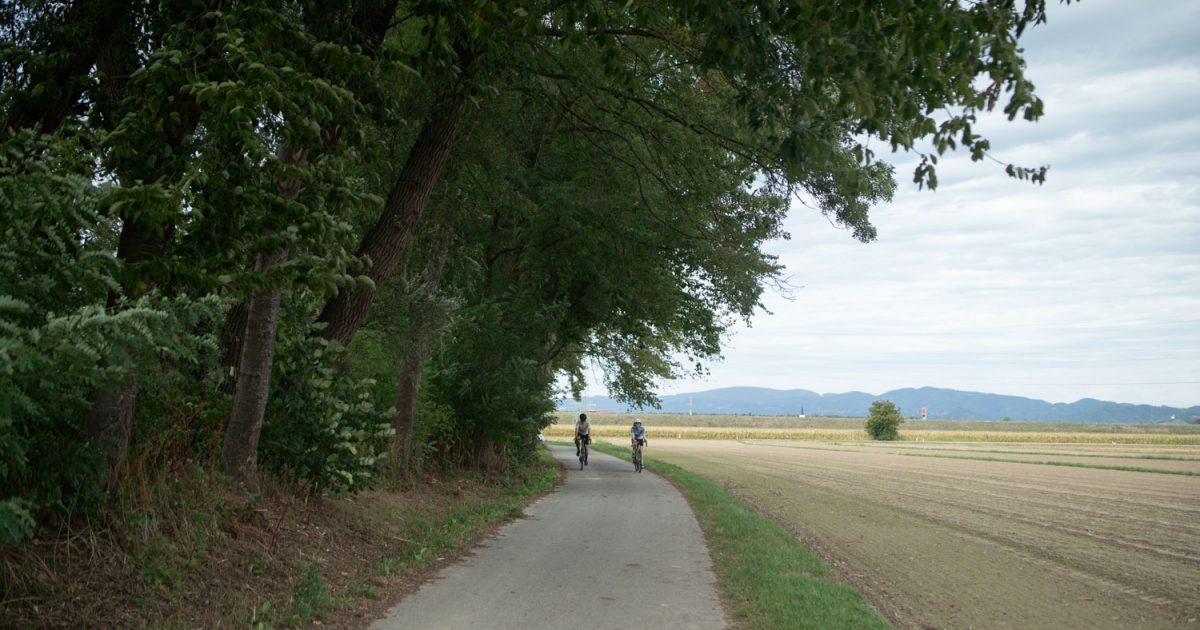 Maribor - Miklavž na Dravskem polju – kolesarska pot