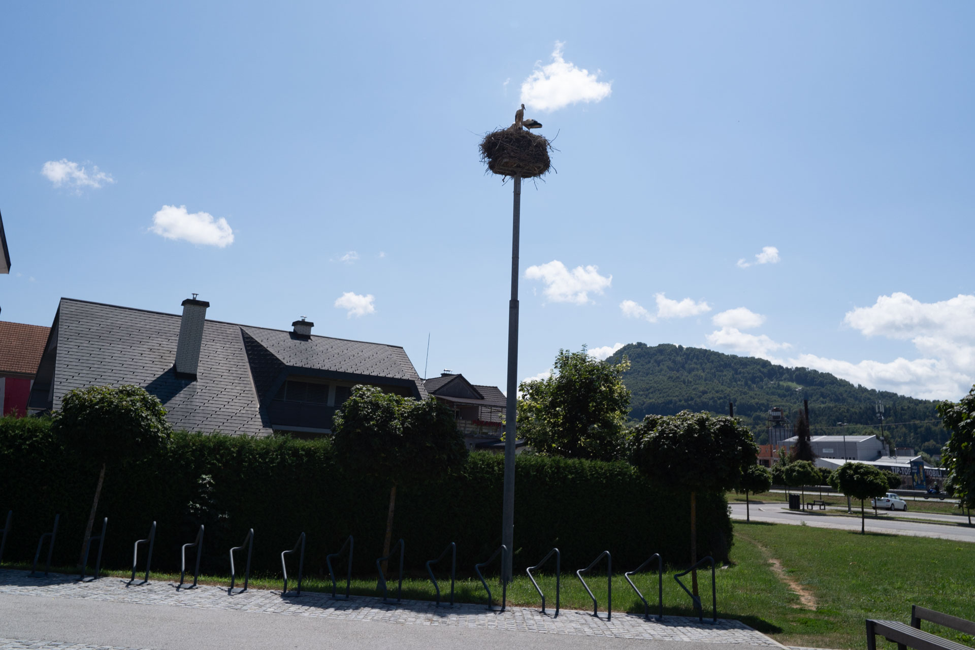 Šentjur – Celje - Šentjur