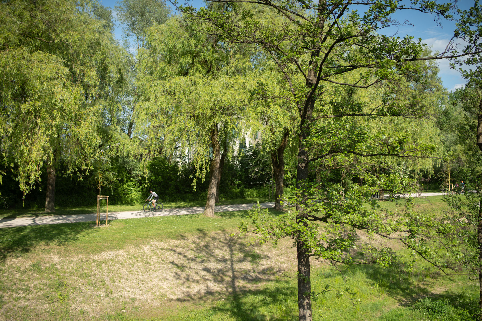 Pot spomina in tovarištva – Ljubljana - Podpeško jezero