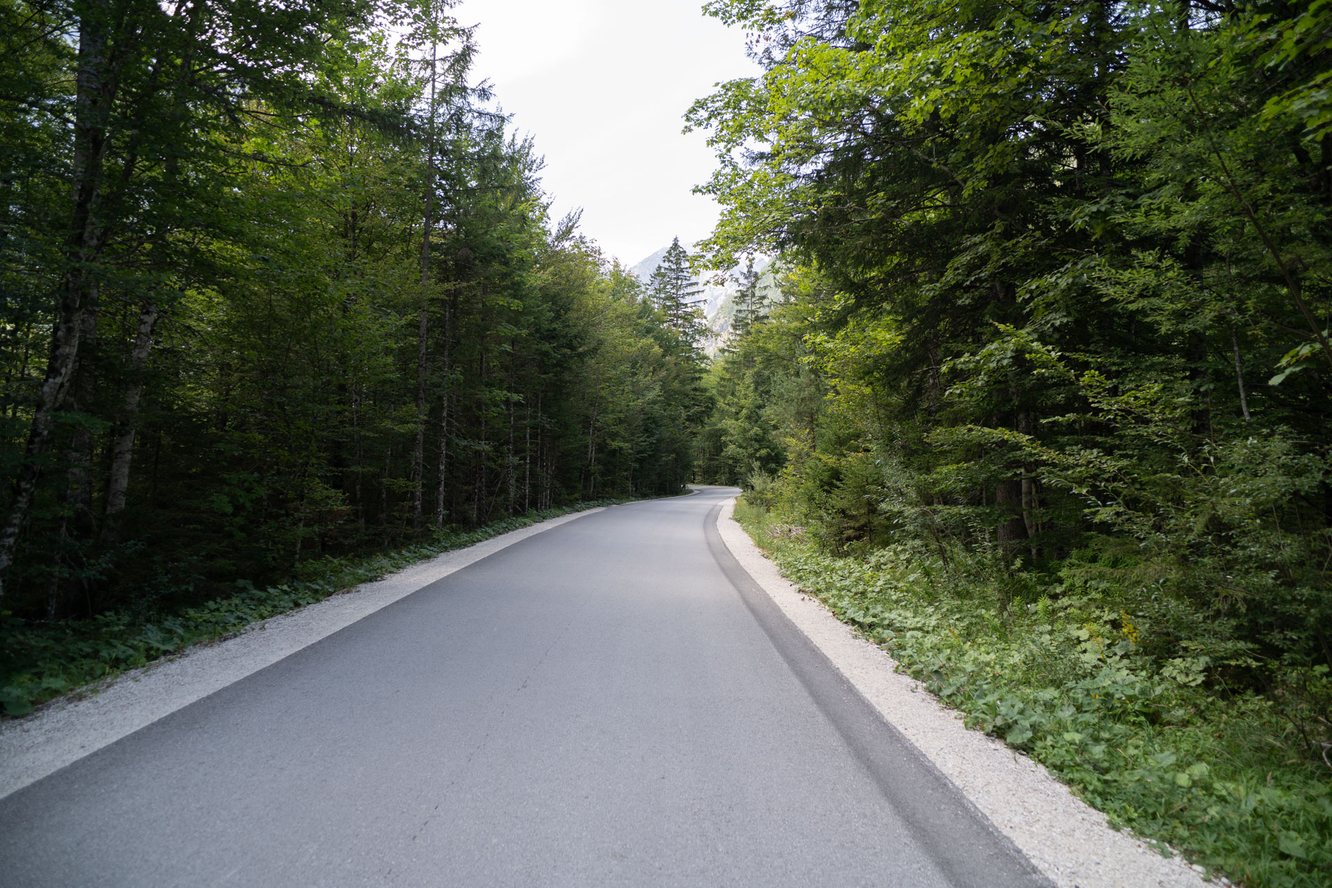 Cesta proti koncu doline – Logarska dolina