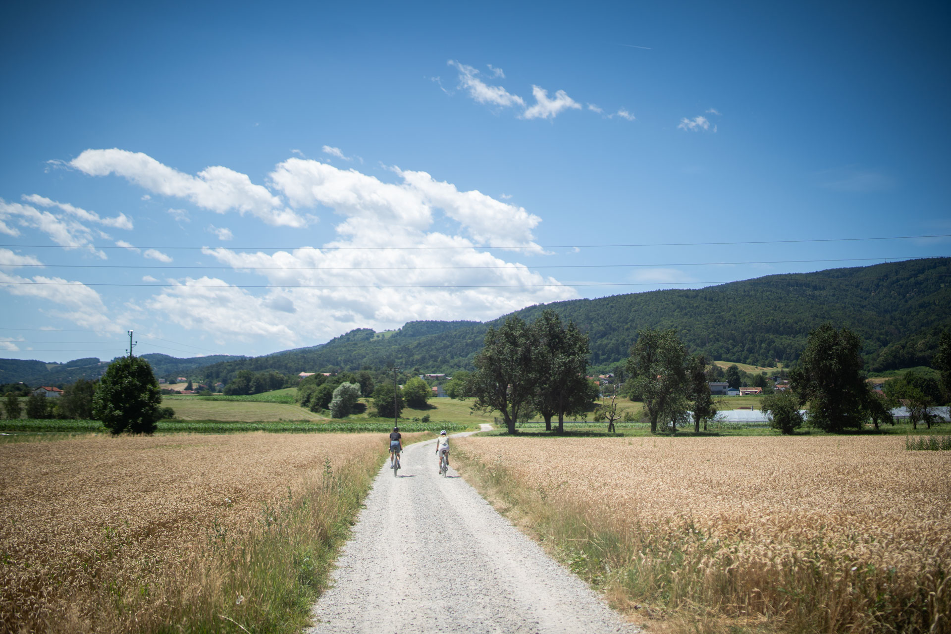Slivnica in Radizel – Maribor - Ptuj - Rače