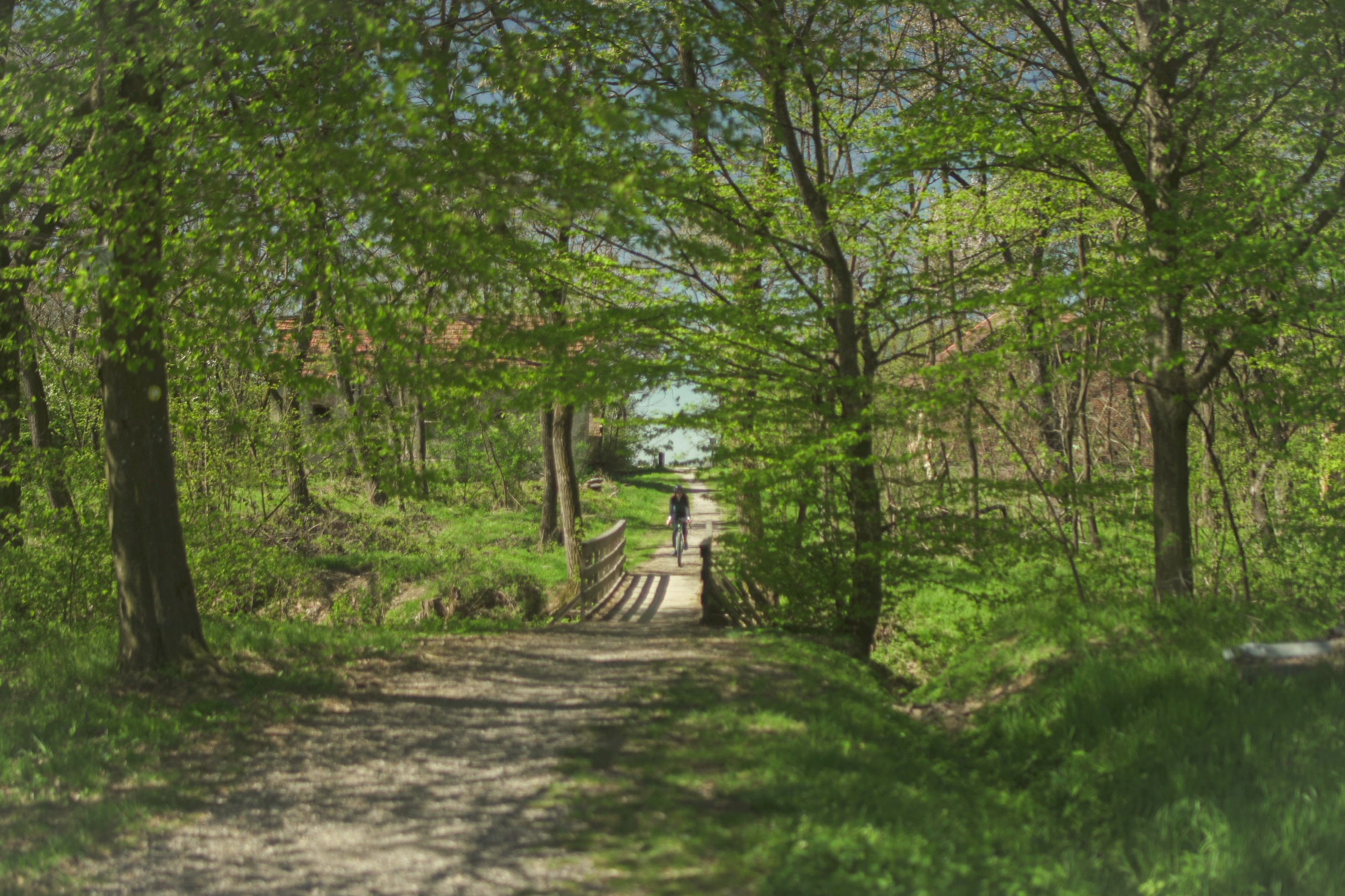 Moravske Toplice – Pri Momi - Lendava