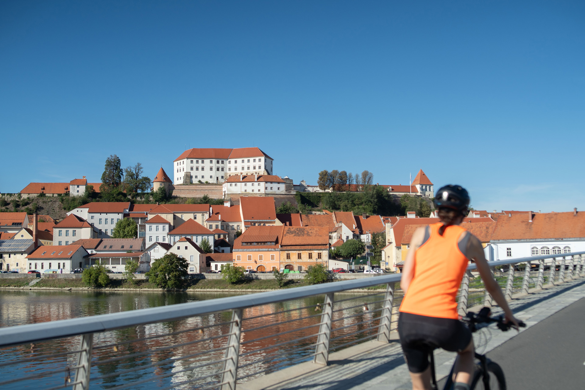 Ptuj – Ptuj - Haloze