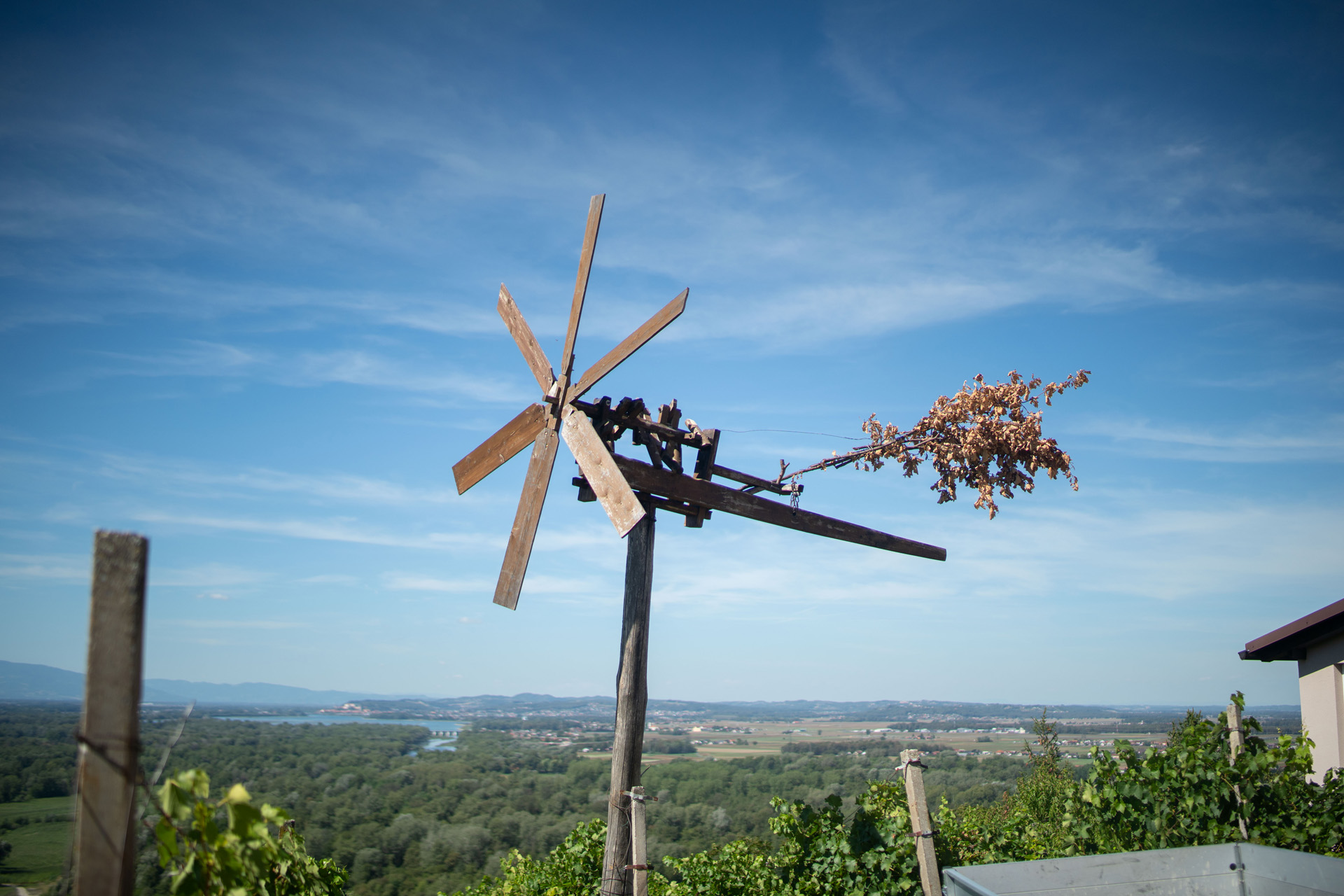 Haloški klopotec – Ptuj - Haloze