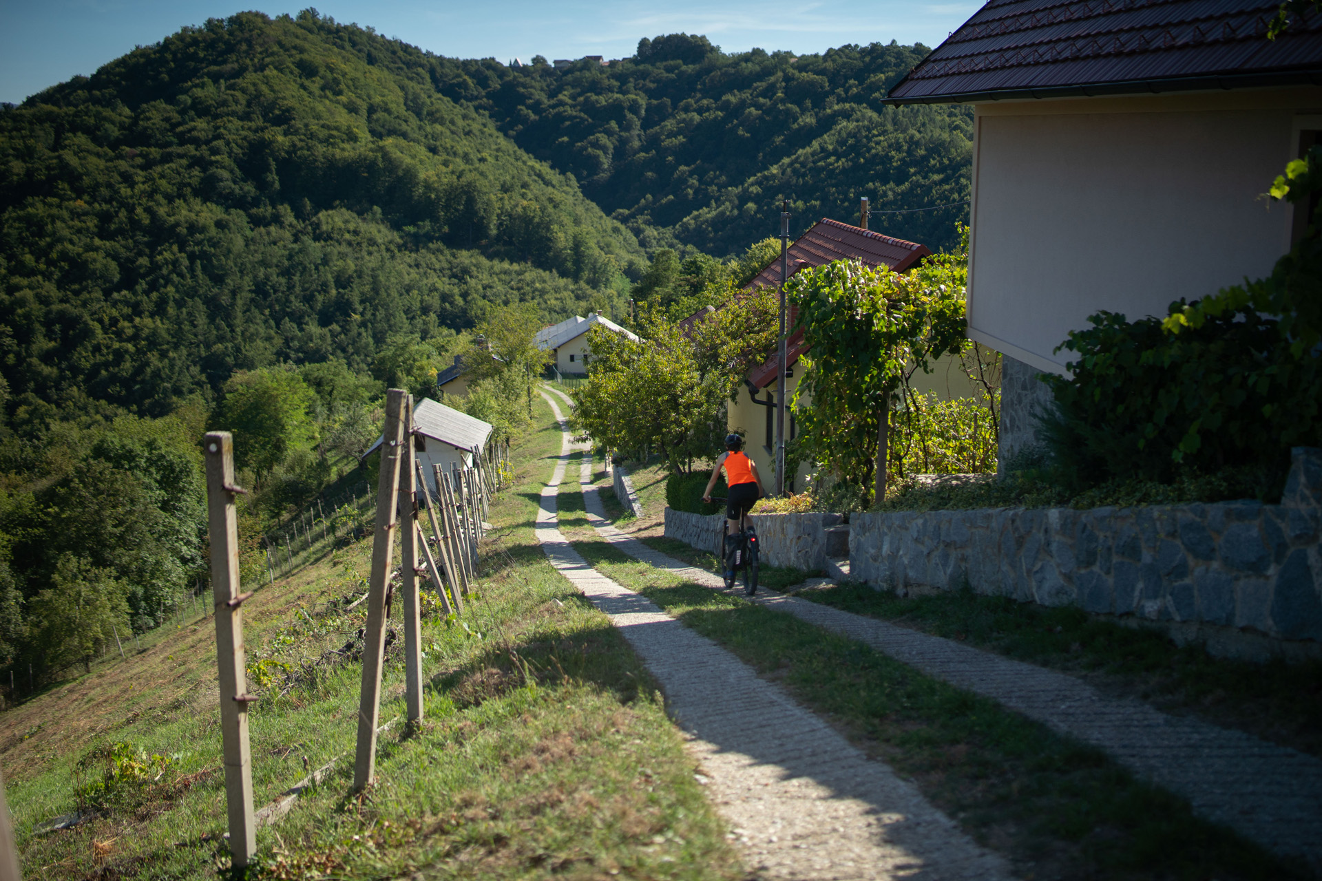 Dolena – Ptuj - Haloze