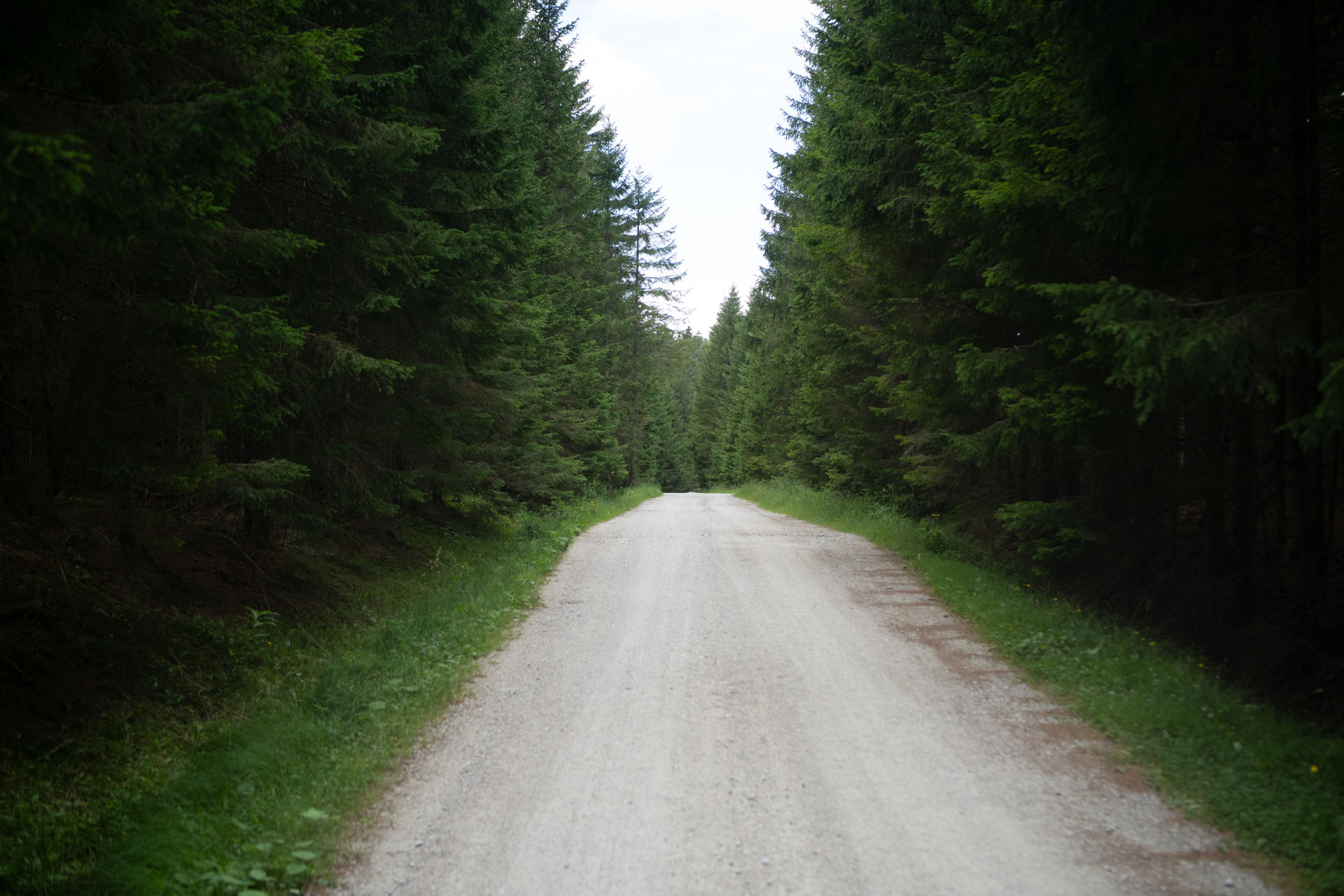 Osankarica – Radvanje - Bellevue - Areh - Črno jezero