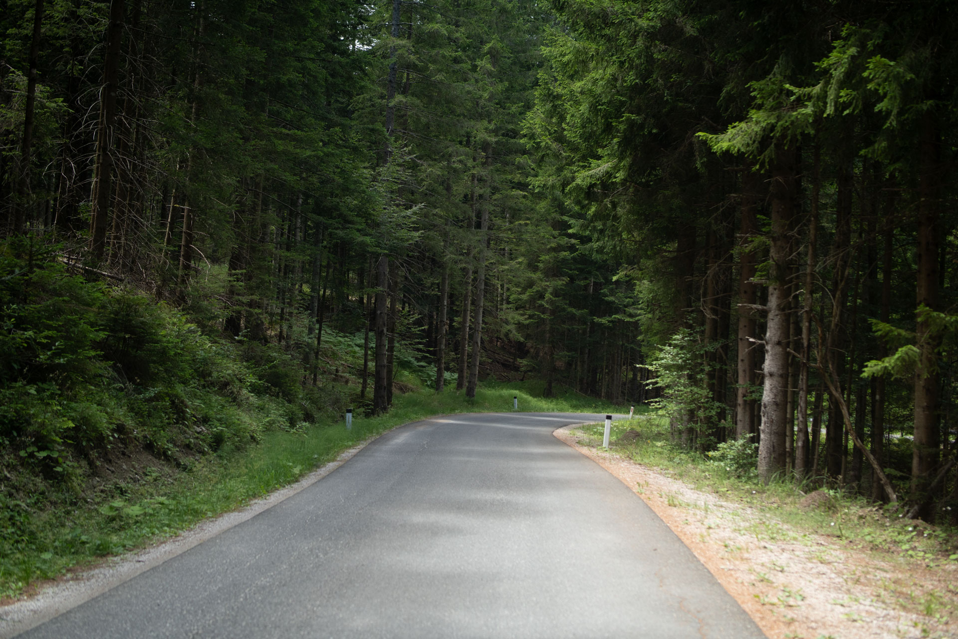 Nazaj proti Arehu – Radvanje - Bellevue - Areh - Črno jezero