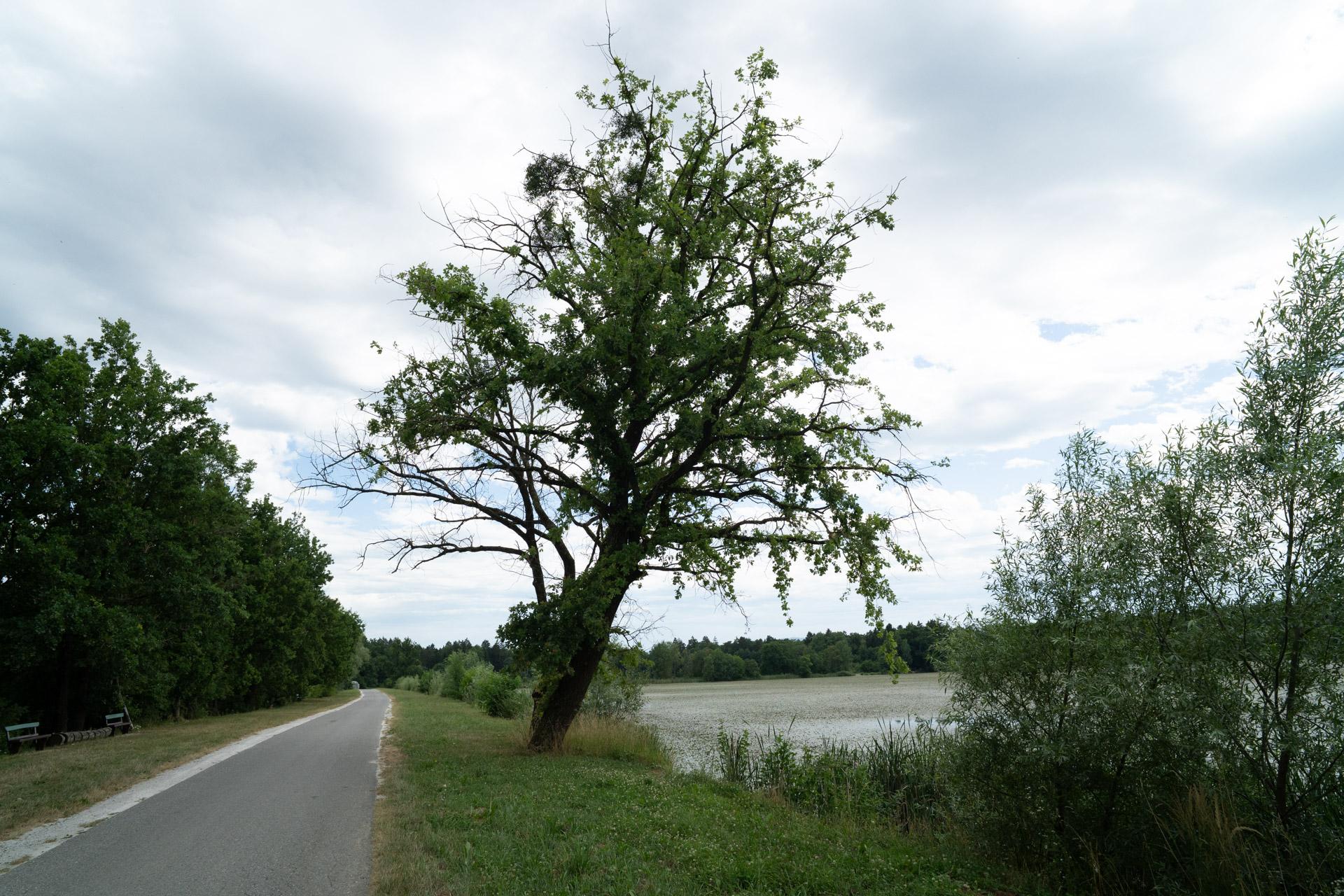 Rački ribniki – Rački ribniki