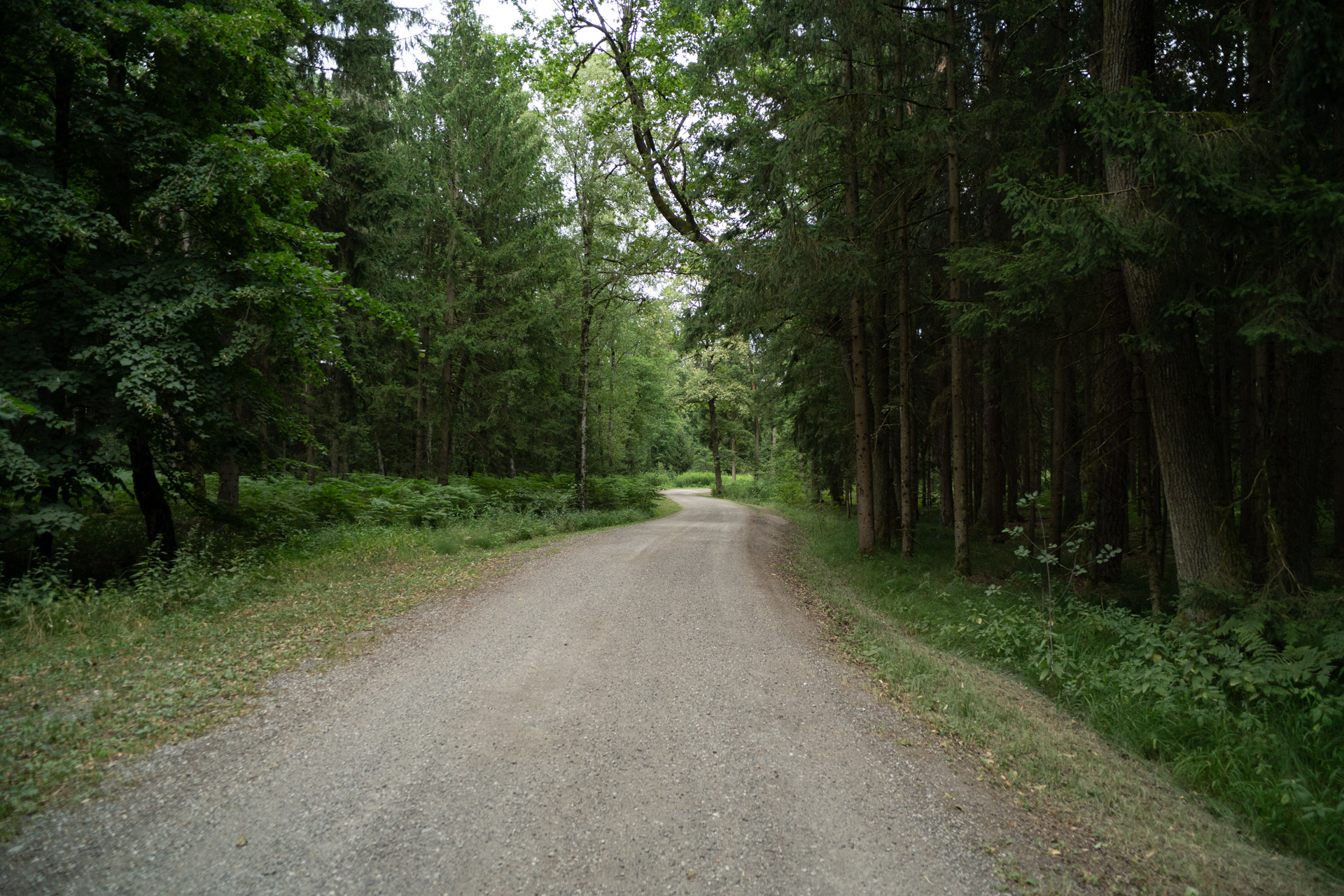 Gozd – Rački ribniki