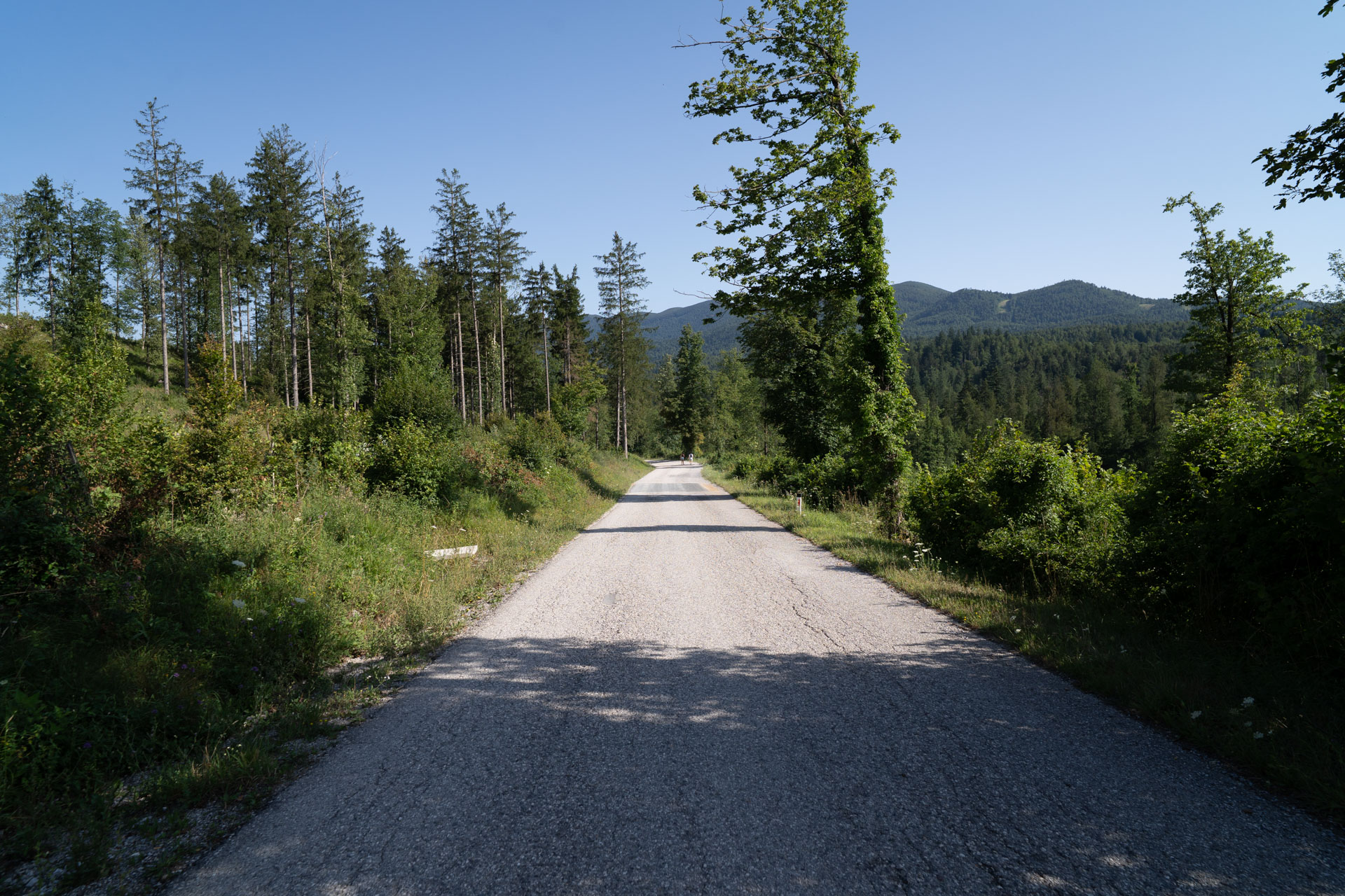 Rakov Škocjan – Rakov Škocjan - Cerkniško jezero