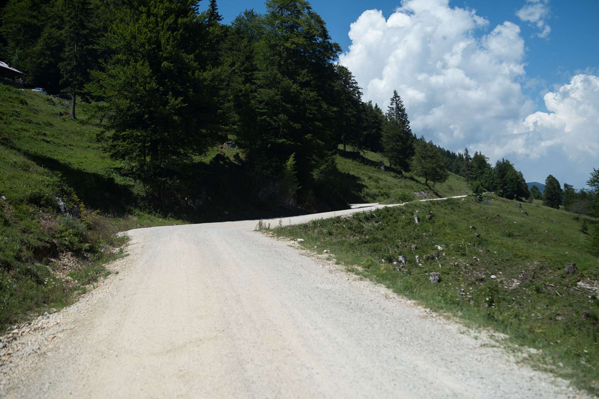 Makadamski vzpon – Rakove ravni - Velika planina - Mala planina