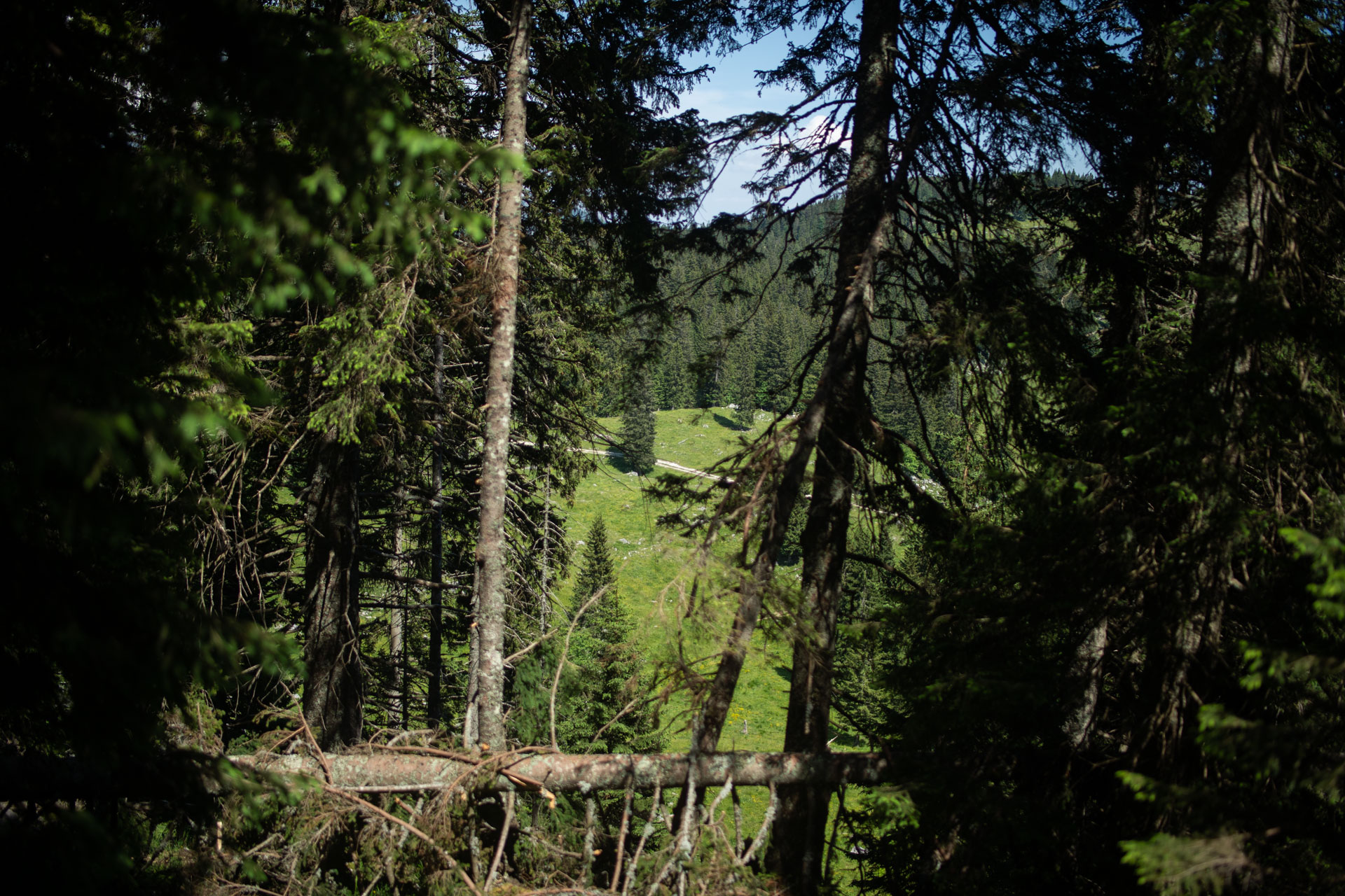 Velika planina – Rakove ravni - Velika planina - Mala planina