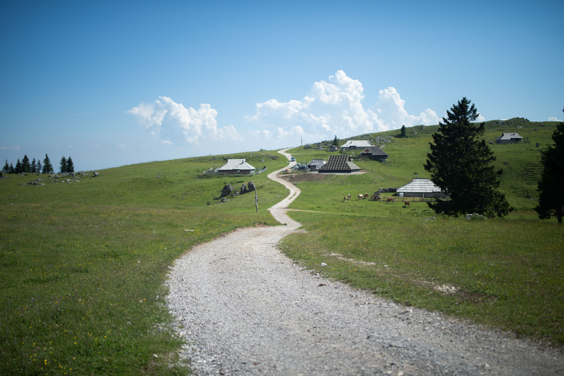 Mala planina – Rakove ravni - Velika planina - Mala planina