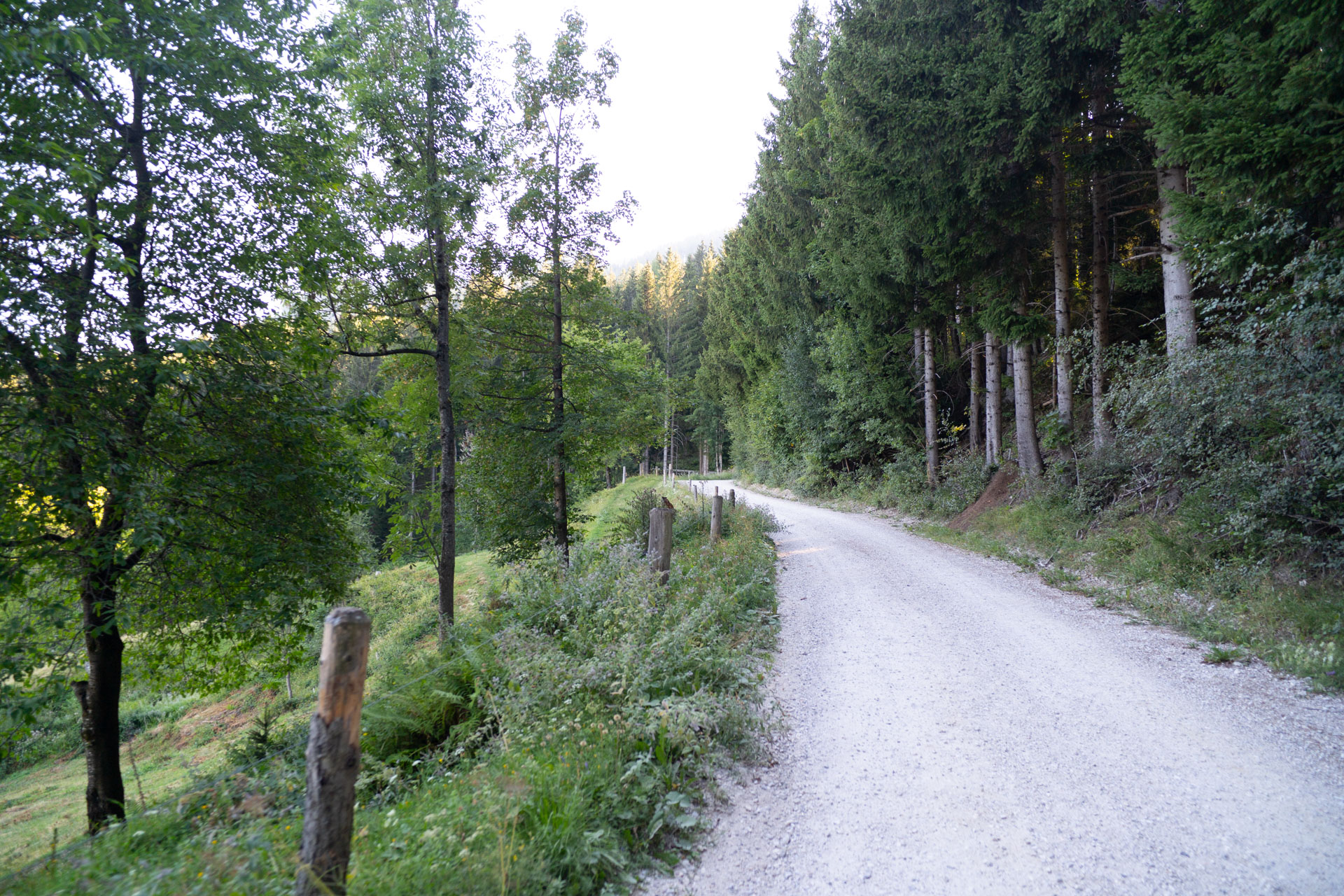 Matkov kot – Solčavska panoramska cesta