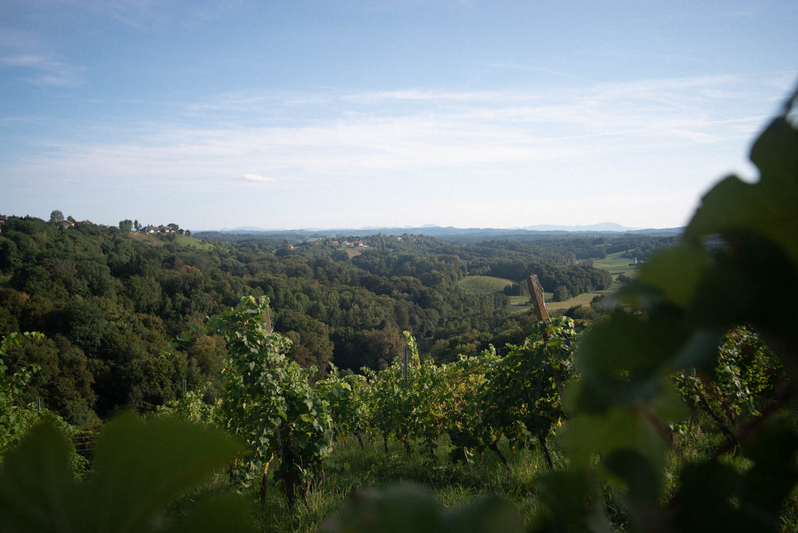 Razgled s Svete Ane – Visit Gorice - Šentilj, Cmurek, Sv. Ana, Jarenina