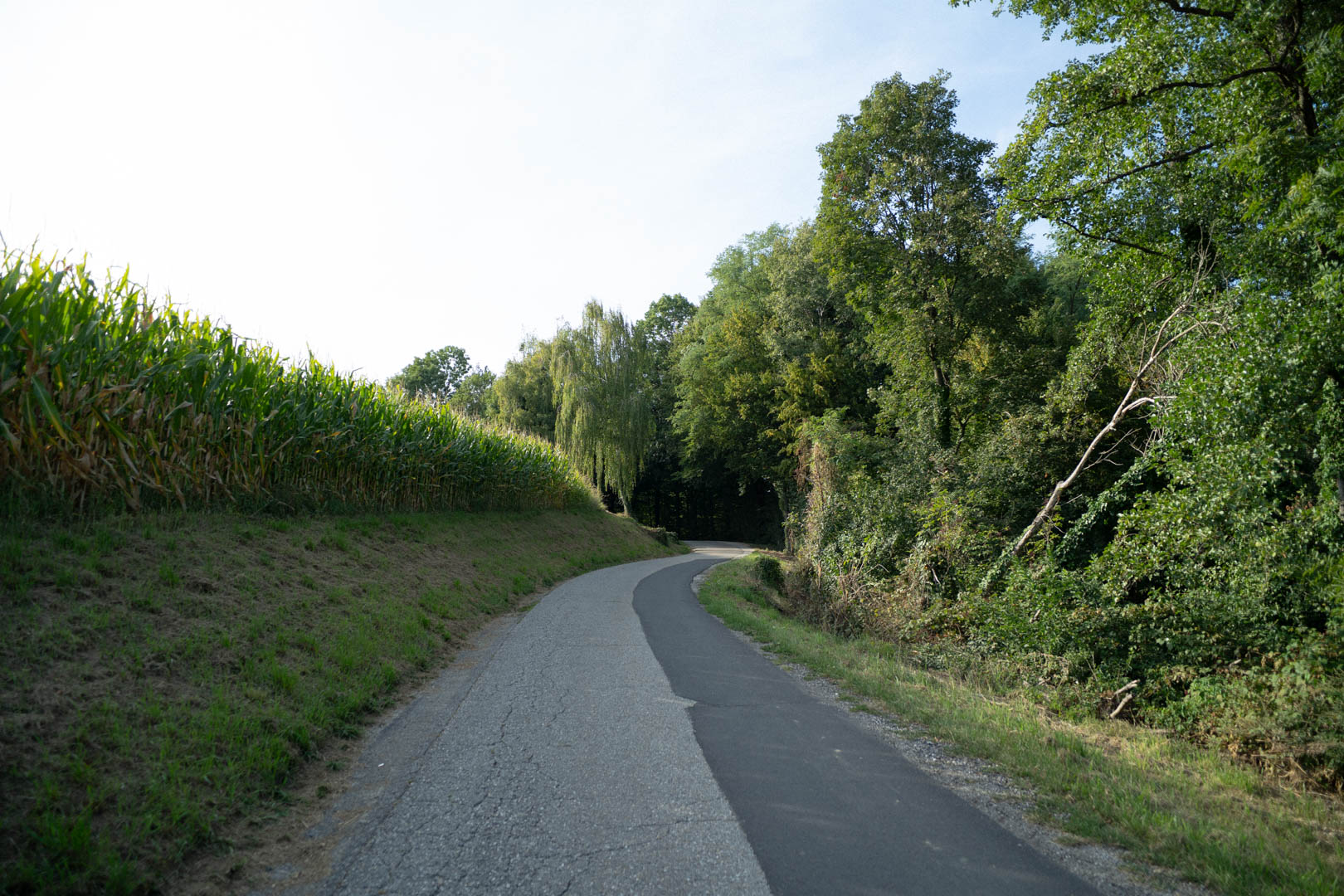 Druga polovica poti – Visit Gorice - Šentilj, Cmurek, Sv. Ana, Jarenina