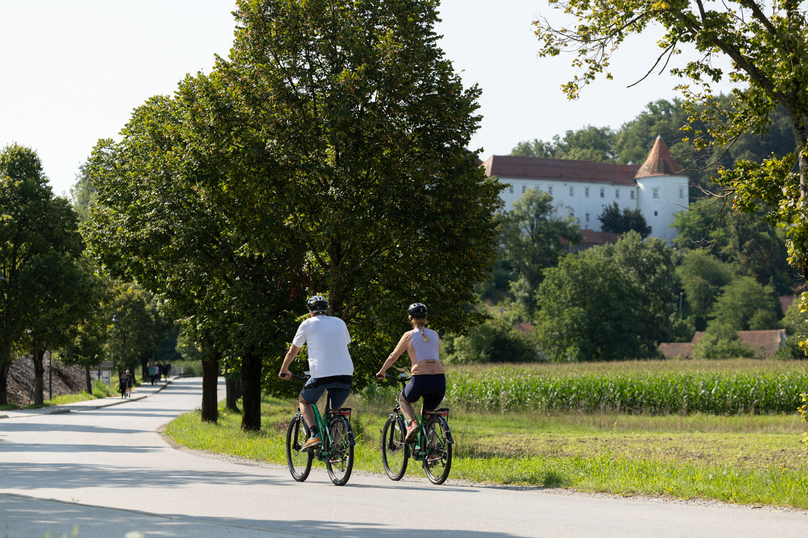 Grad Hrastovec – Visit Gorice - Lenart, Cerkvenjak, Benedikt