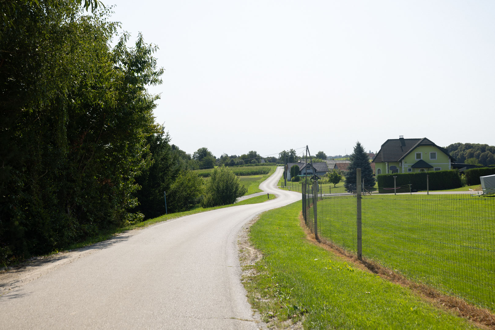 Spust v Trnovsko vas – Visit Gorice - Lenart, Cerkvenjak, Benedikt
