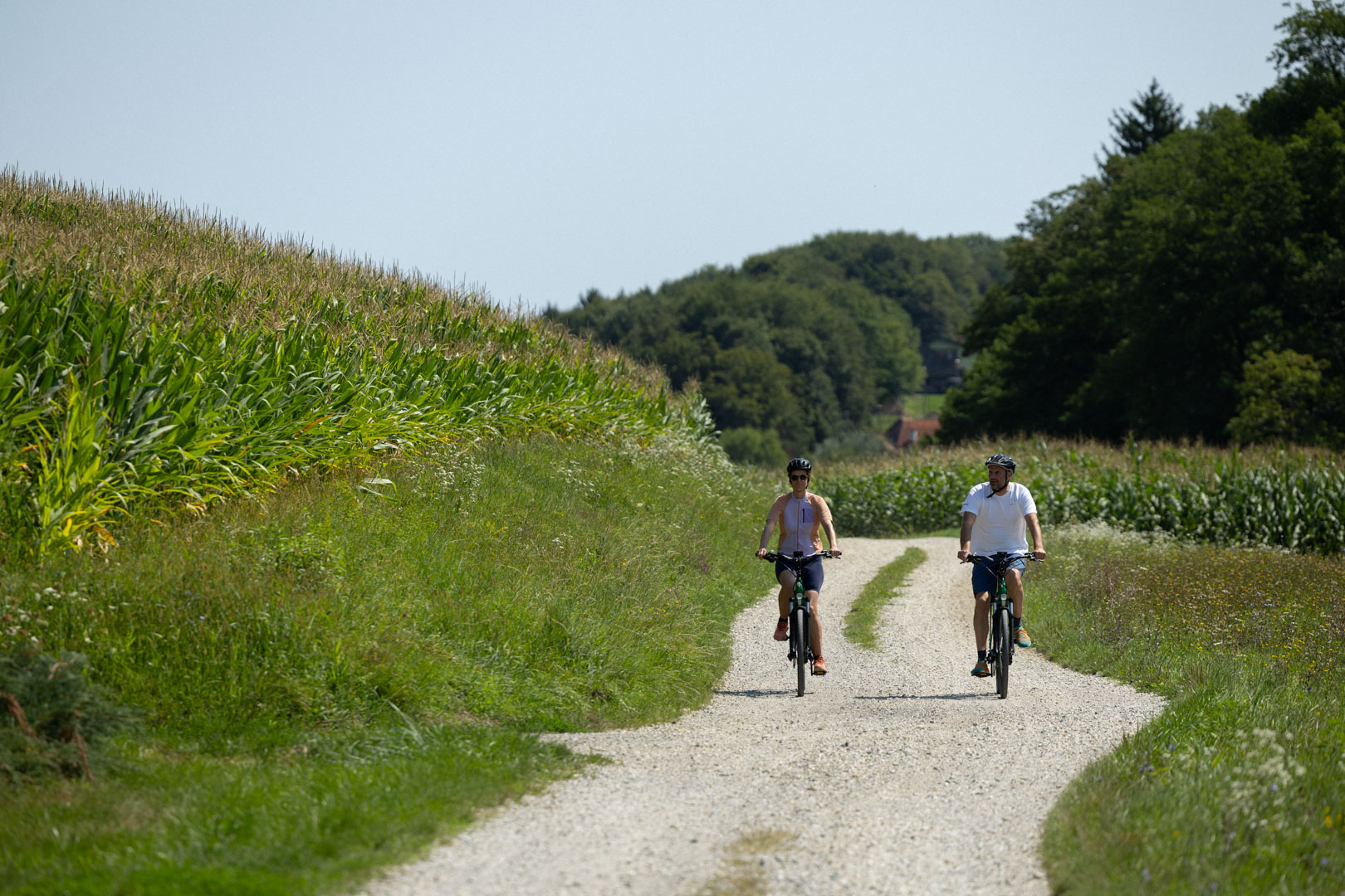 Cerkvenjak – Visit Gorice - Lenart, Cerkvenjak, Benedikt