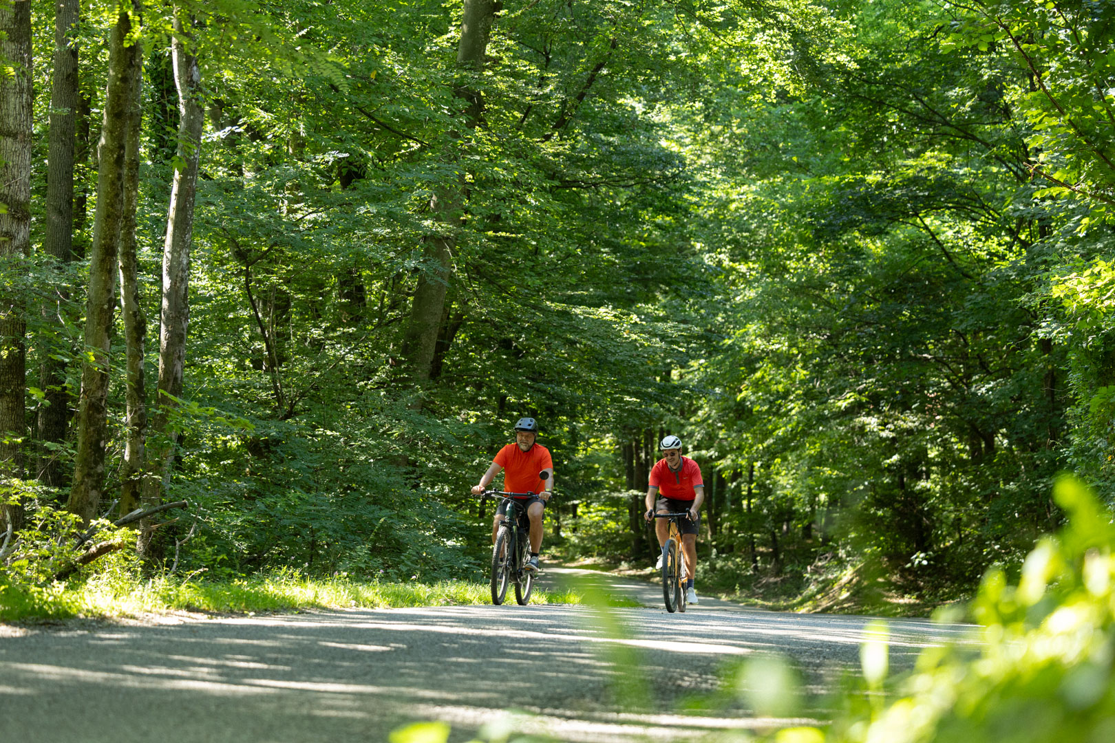 Proti Vurberku – Visit Gorice - Lenart, Grad Vurberk
